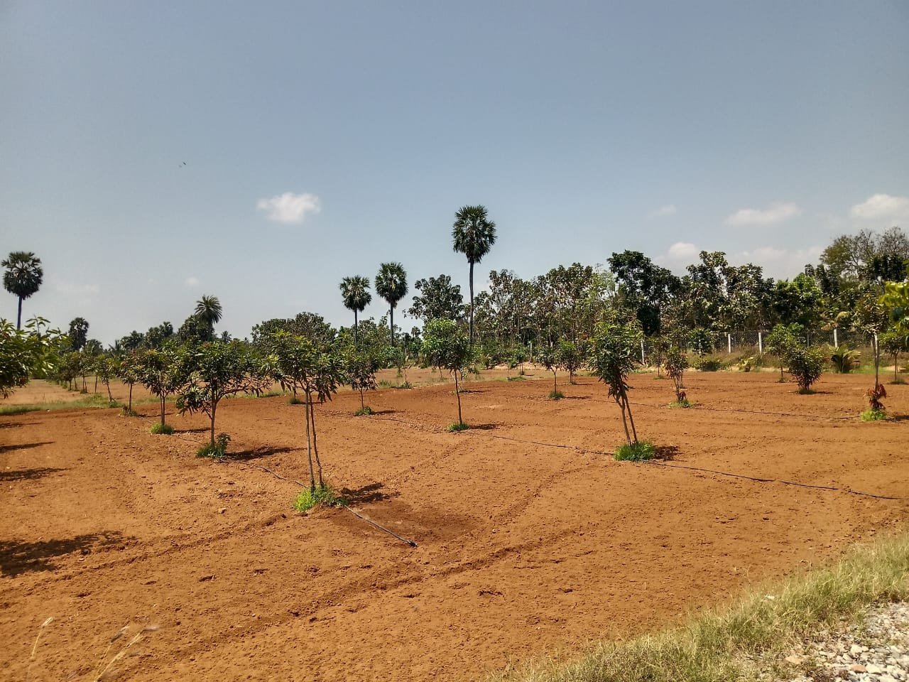 21ef493b-478d-4d60-a03b-40846aa2b716