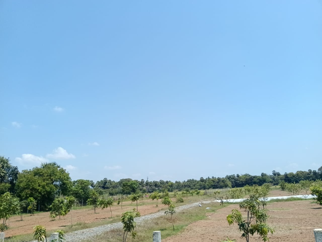 2328de80-a426-4b83-85cf-b9393255ccef