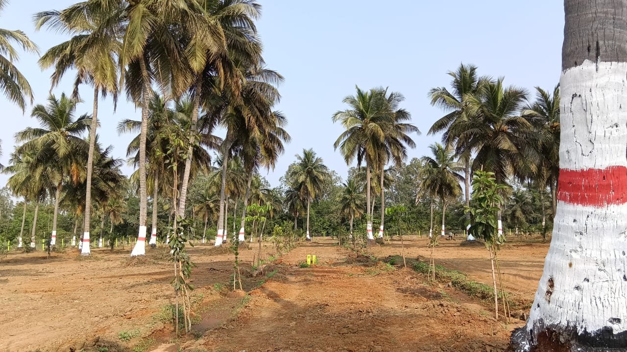 WhatsApp Image 2026-03-11 at 3.25.45 PM (2)