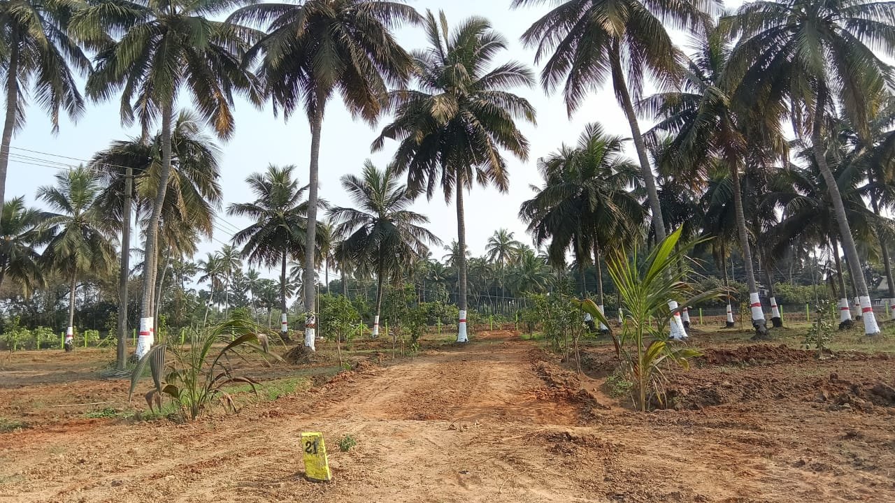 WhatsApp Image 2026-03-11 at 3.25.45 PM