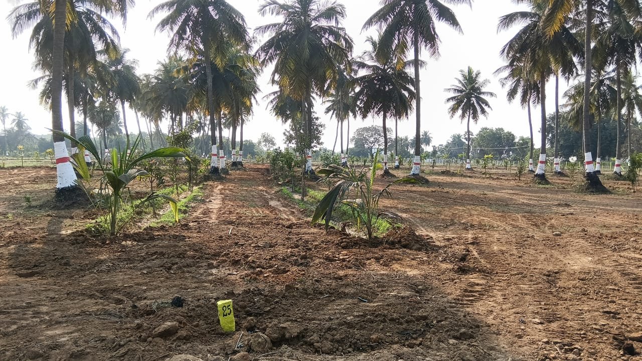 WhatsApp Image 2026-03-11 at 3.25.46 PM (1)