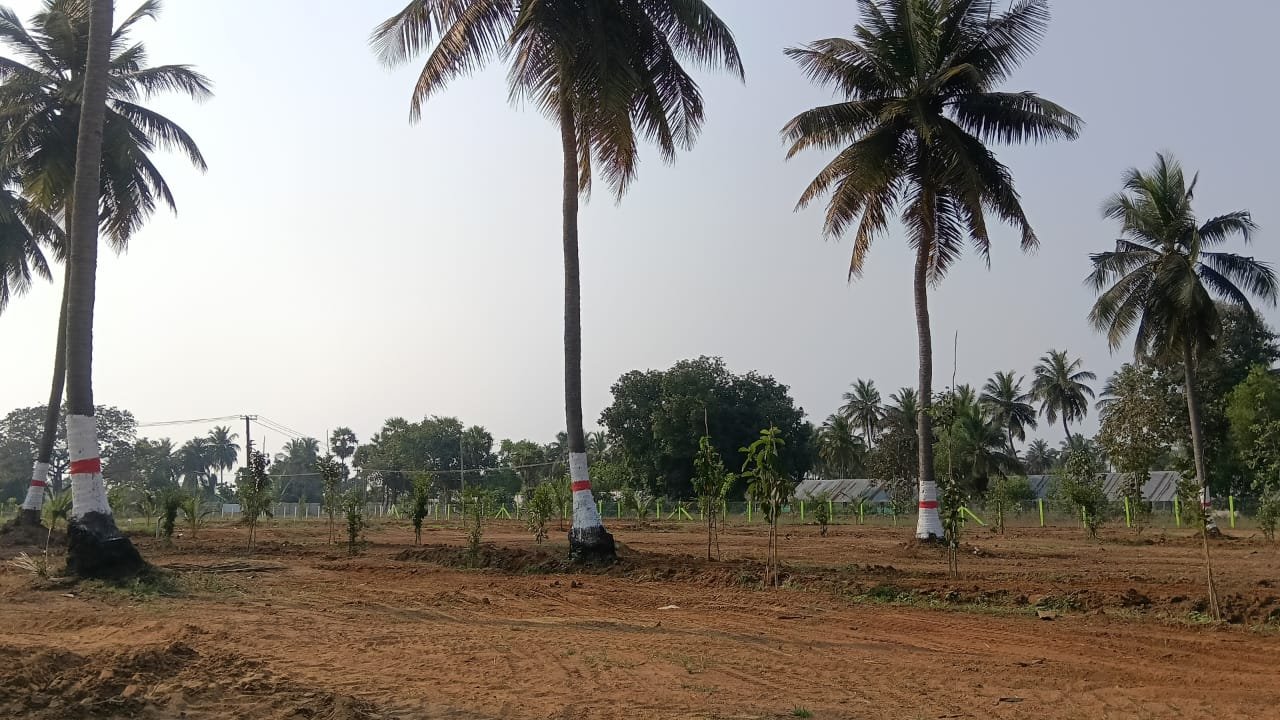 WhatsApp Image 2026-03-11 at 3.25.46 PM