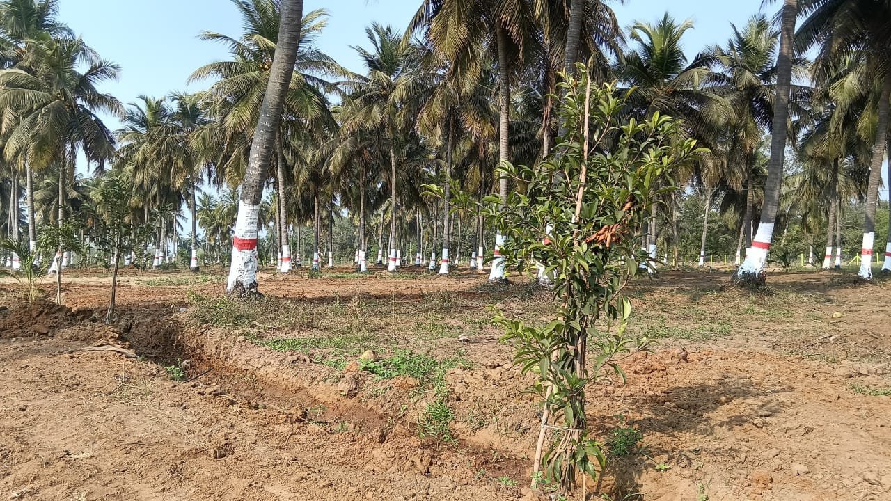 WhatsApp Image 2026-03-11 at 3.25.47 PM