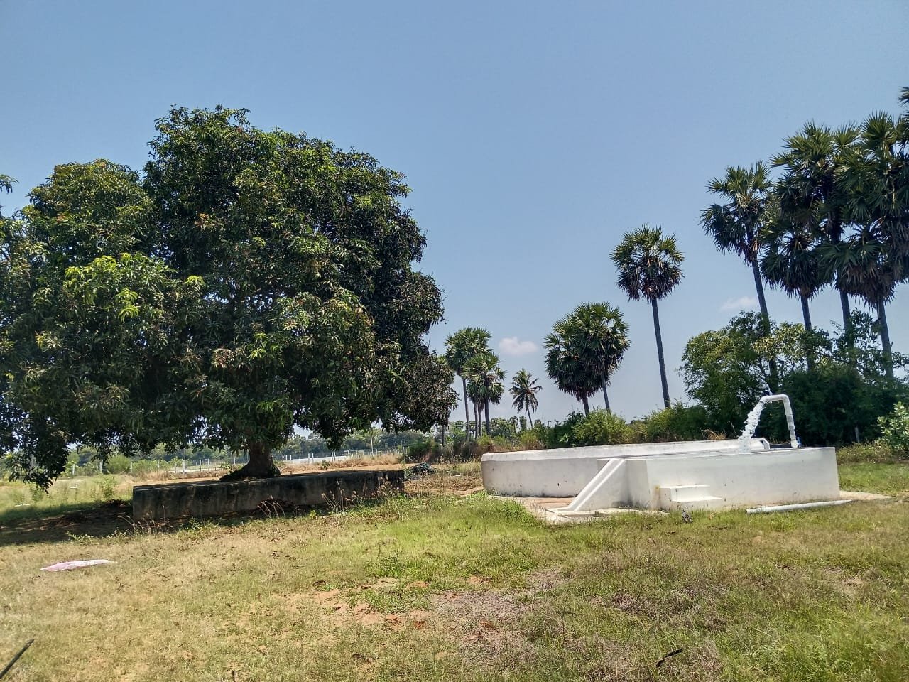 ed993a70-99b0-459c-861a-a53f769405d6